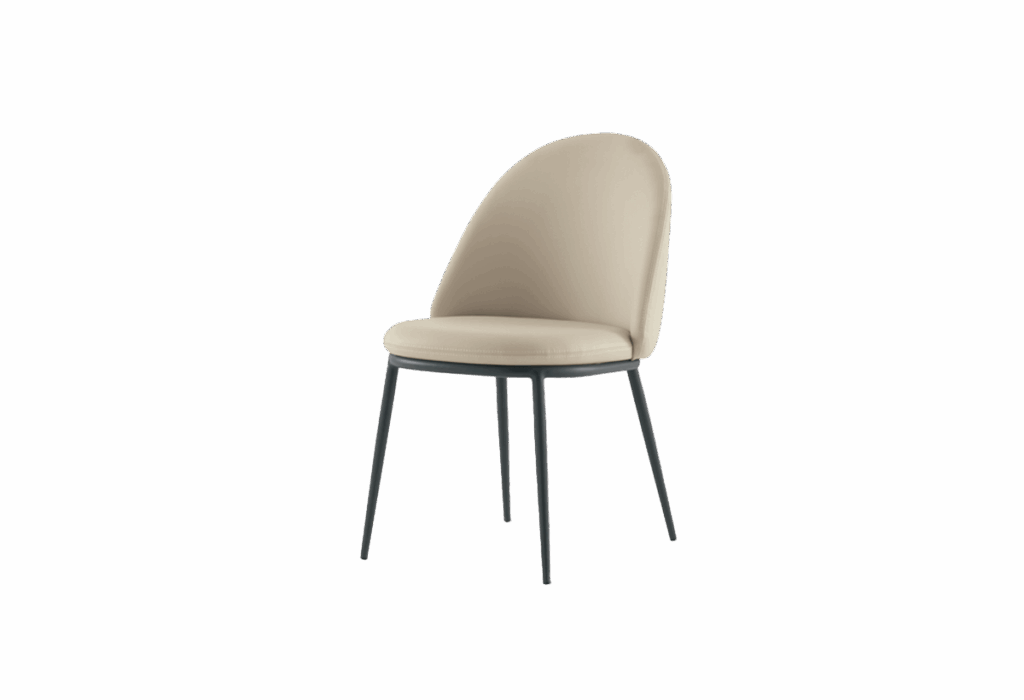 tulipano